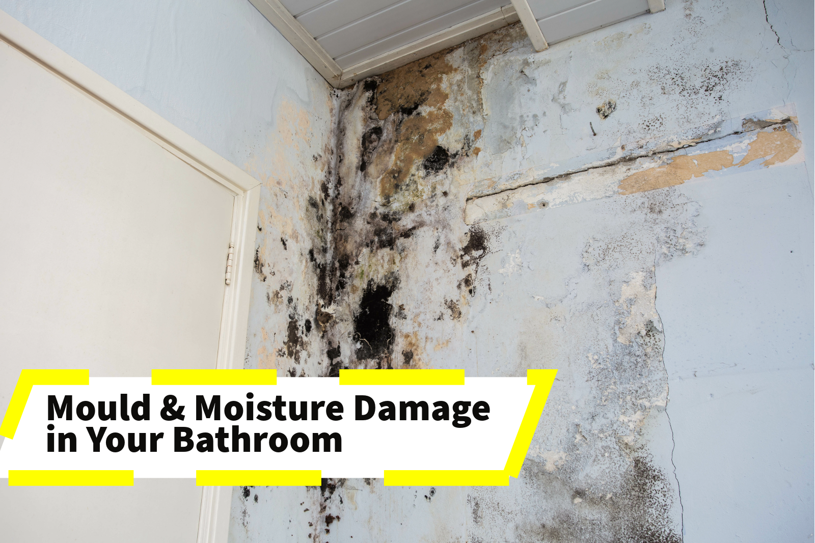 Bathroom Ceiling Restoration: Mould and Moisture Treatment